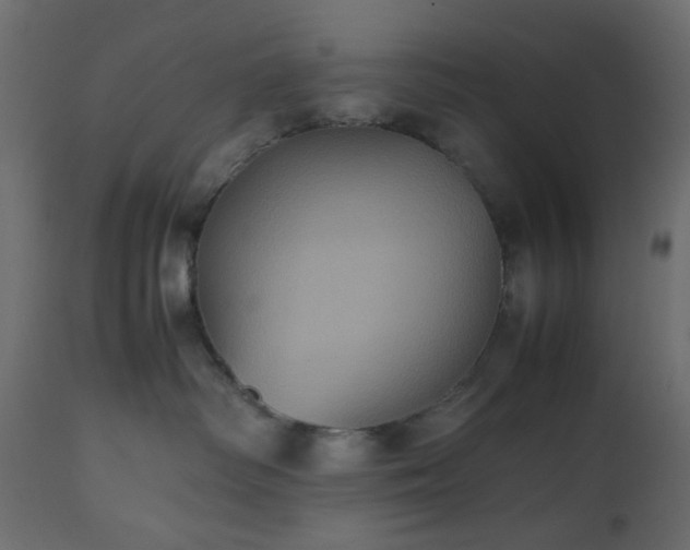 X0000112510334200908241426