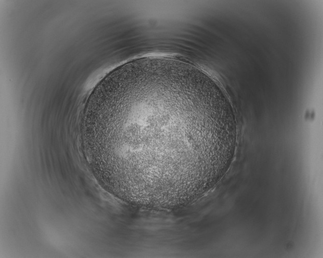 X0000112510337200908241425