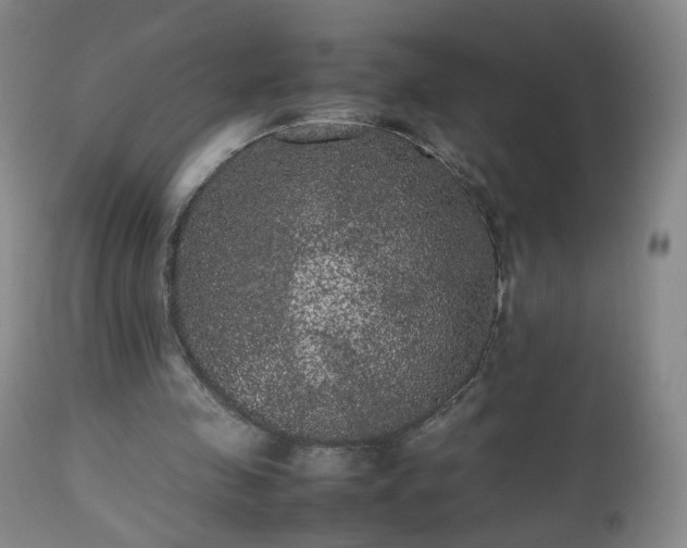 X0000112510341200908241425