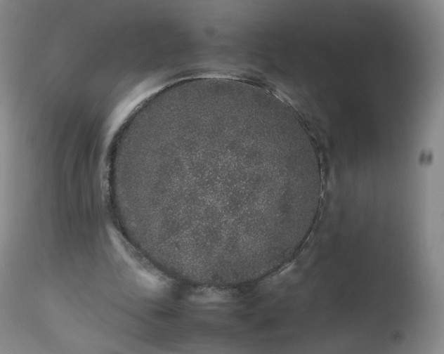 X0000112510343200908241425