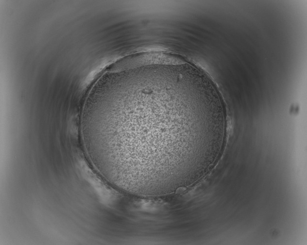 X0000112510345200908241425