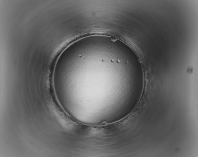 X0000112510346200908241425