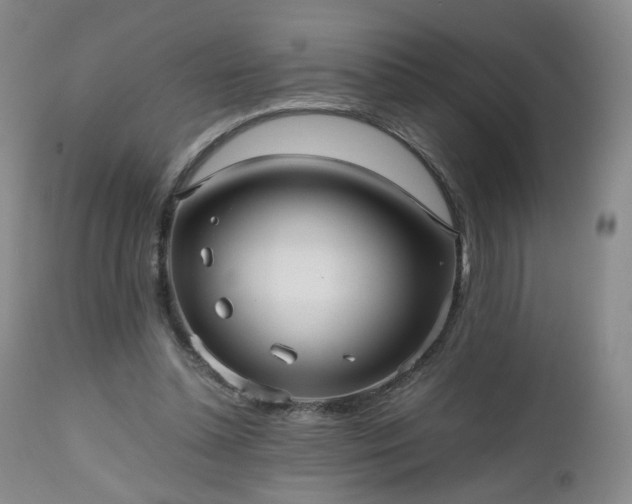 X0000112510348200908241425