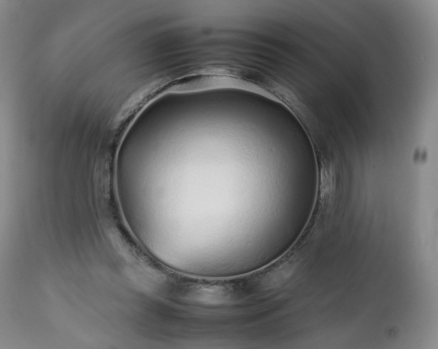 X0000112510349200908241425