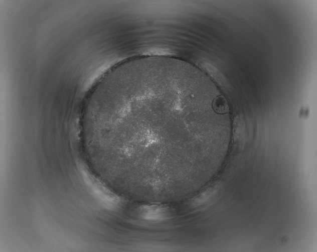 X0000112510351200908241425