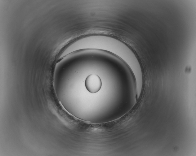 X0000112510352200908241425