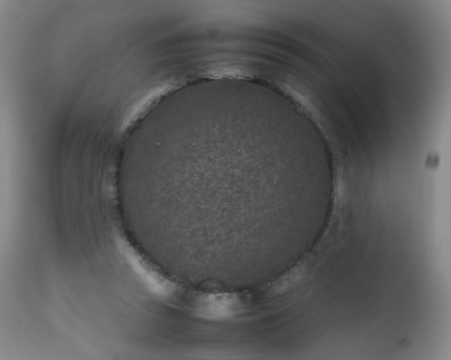 X0000112510353200908241425