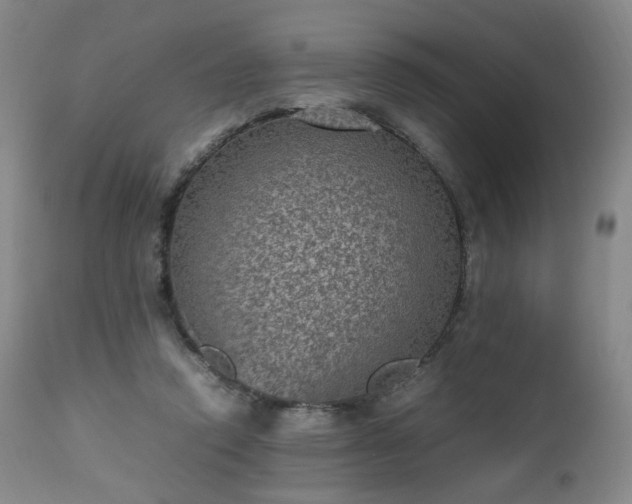 X0000112510354200908241425