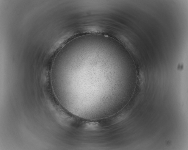 X0000112510355200908241425