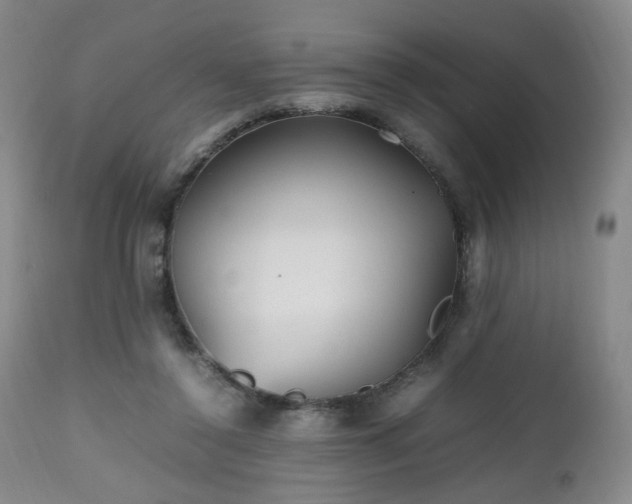 X0000112510356200908241425