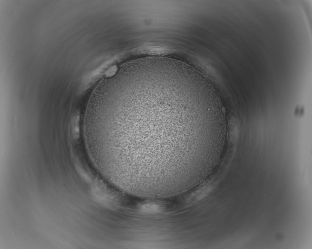 X0000112510358200908241425