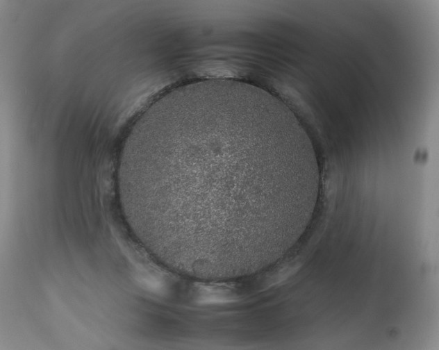 X0000112510359200908241425