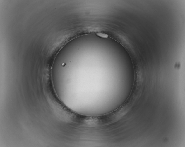 X0000112510362200908241425