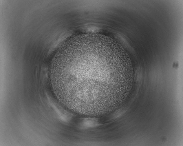 X0000112510363200908241425