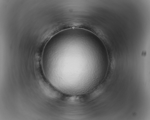 X0000112510366200908241426