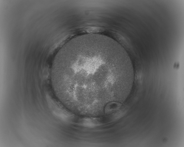 X0000112510367200908241426