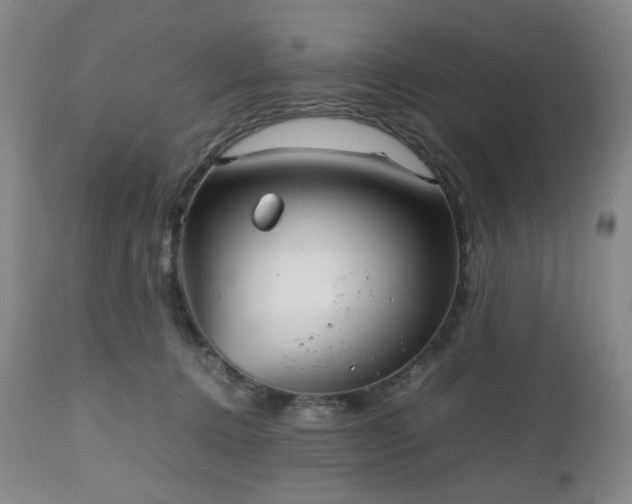 X0000112510368200908241426