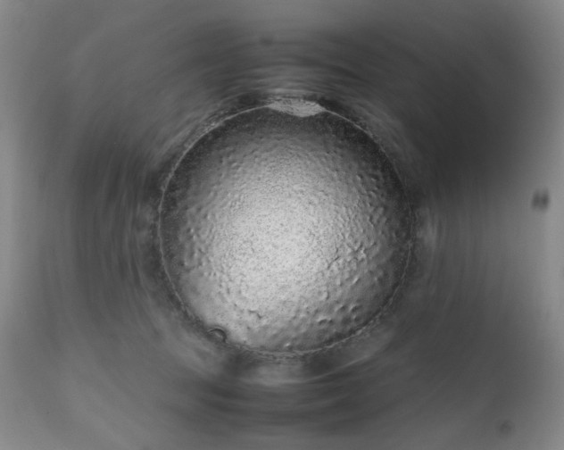 X0000112510369200908241426