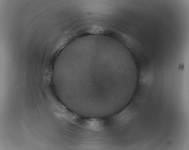 X0000112510370200908241426