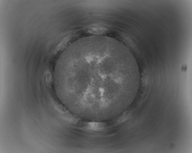 X0000112510371200908241426