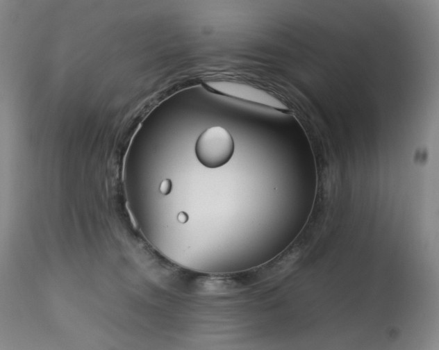 X0000112510372200908241426