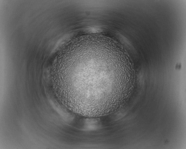 X0000112510373200908241426