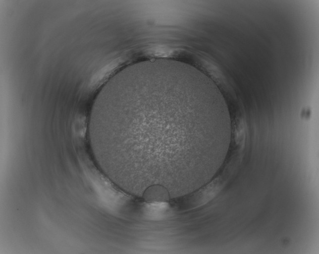 X0000112510374200908241426