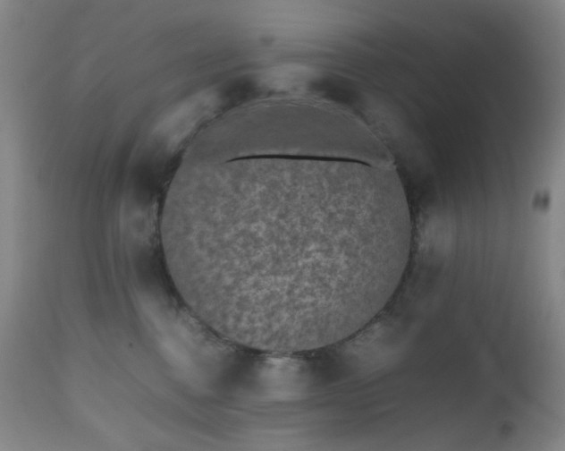 X0000112510376200908241426