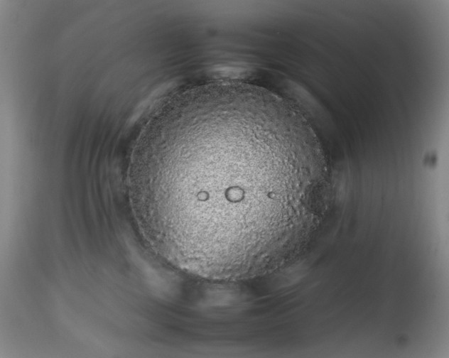 X0000112510377200908241426