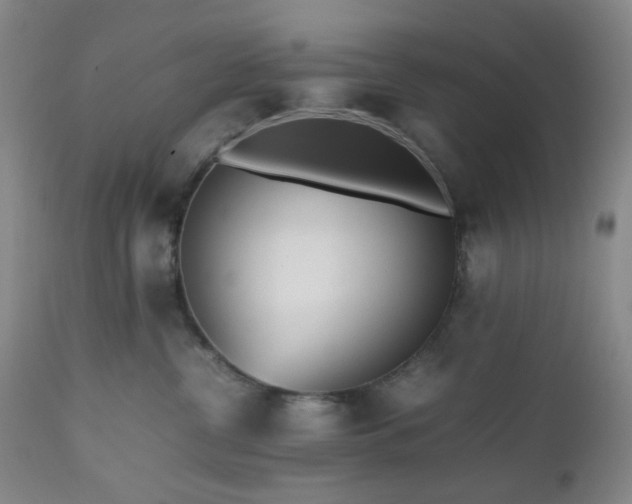 X0000112510380200908241426