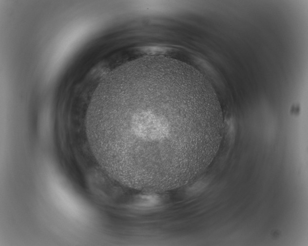 X0000112510381200908241426