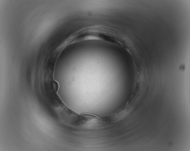 X0000112510382200908241426