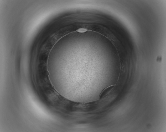 X0000112510383200908241426