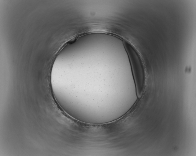 X0000112510385200908241425