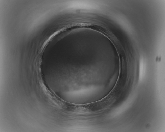 X0000112510387200908241425