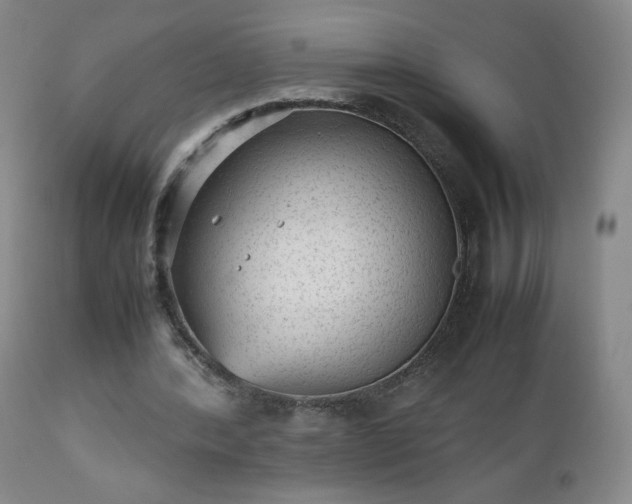 X0000112510388200908241425