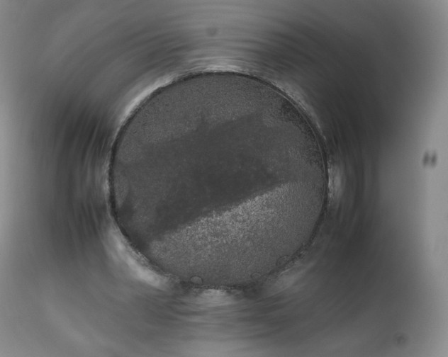 X0000112510390200908241425