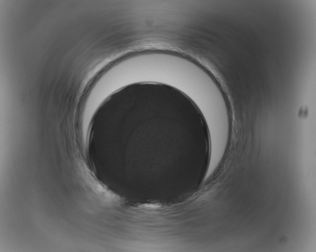 X0000112510391200908241425