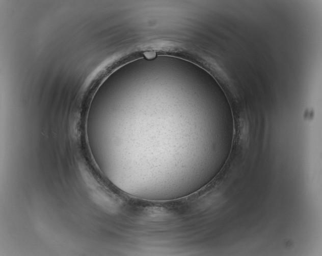 X0000112510392200908241425