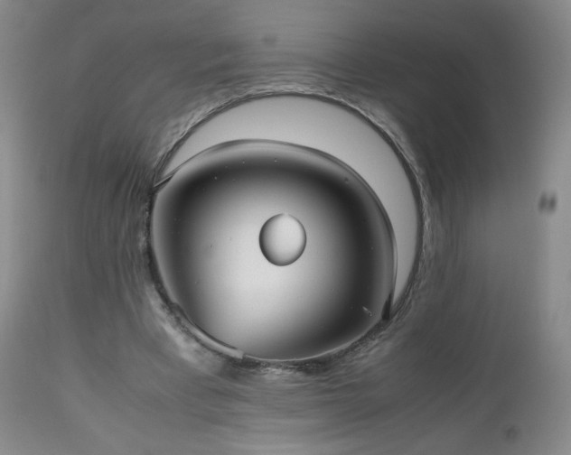 X0000112510393200908241425