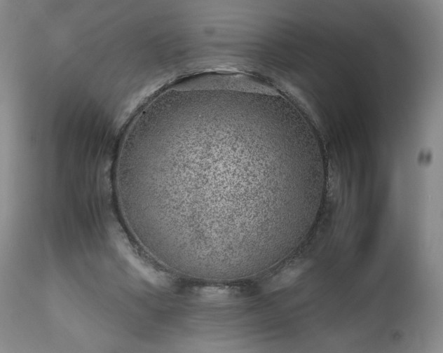 X0000112510394200908241425