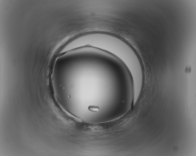 X0000112510395200908241425