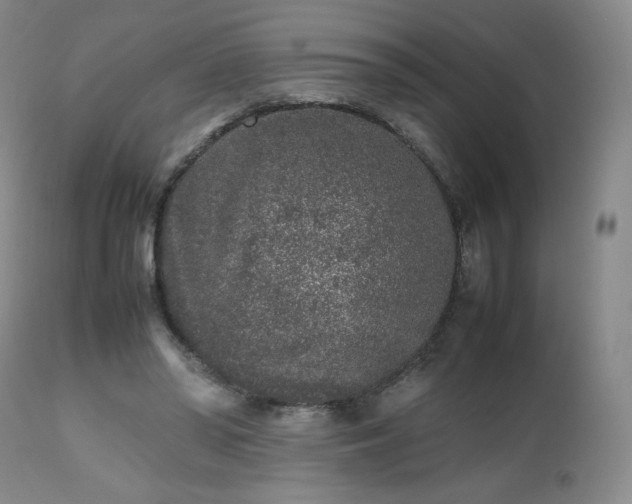 X0000112510398200908241425