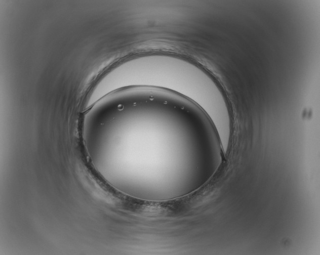 X0000112510399200908241425