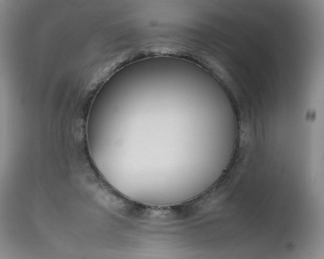 X0000112510401200908241425