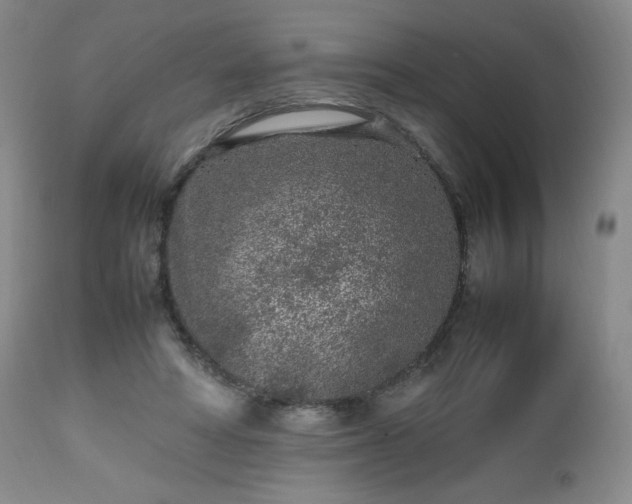 X0000112510402200908241425