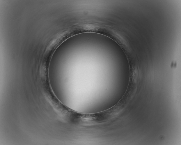 X0000112510407200908241425