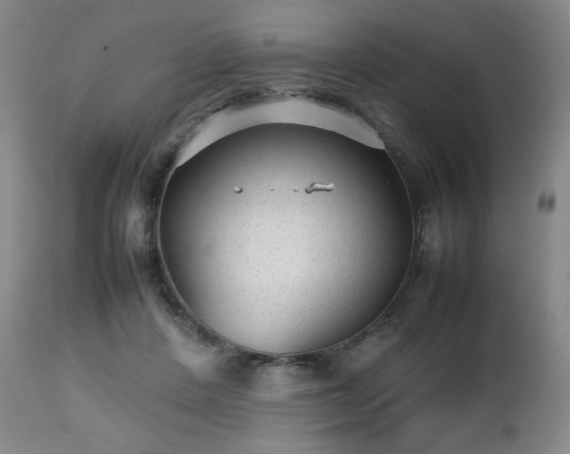 X0000112510408200908241425