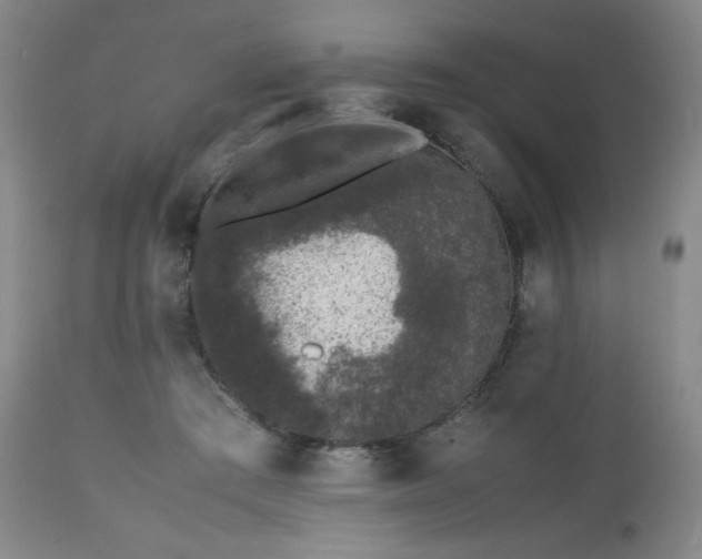 X0000112510409200908241425