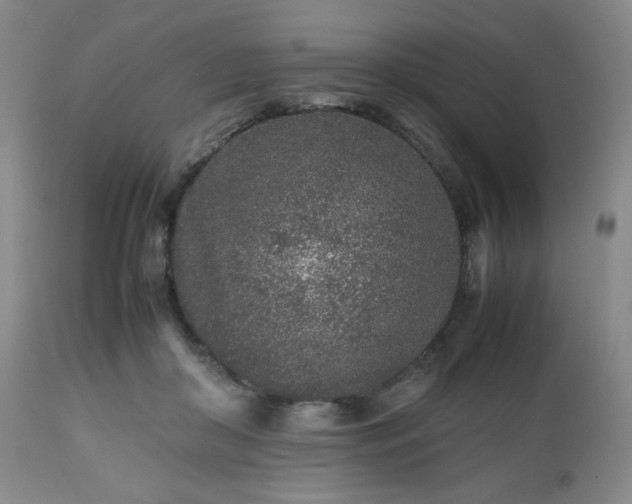 X0000112510410200908241425